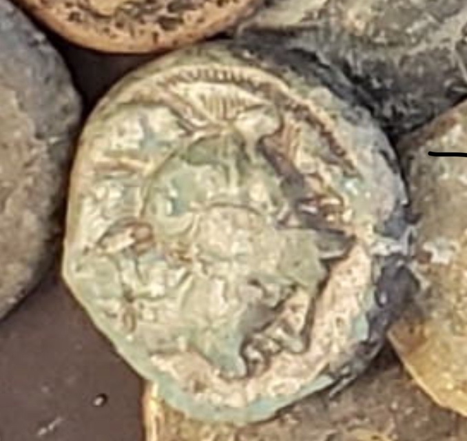 Need-Help-Choosing-Which-Coins-To-Get-From-A-Ancient-Greek-Coin-Lot.